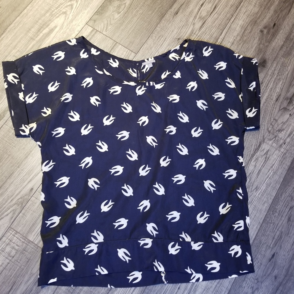 Francesca's Top